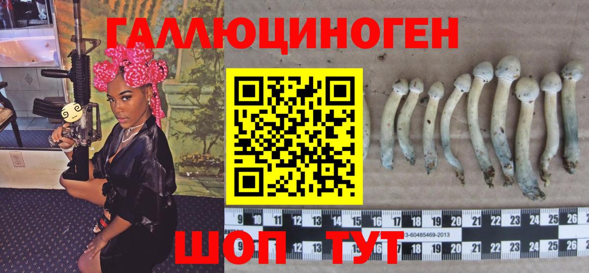 Зеленокумск  Галлюциногенные грибы мицелий  Псилоцибиновые грибы прущие грибы  как найти   Вход с VPN 